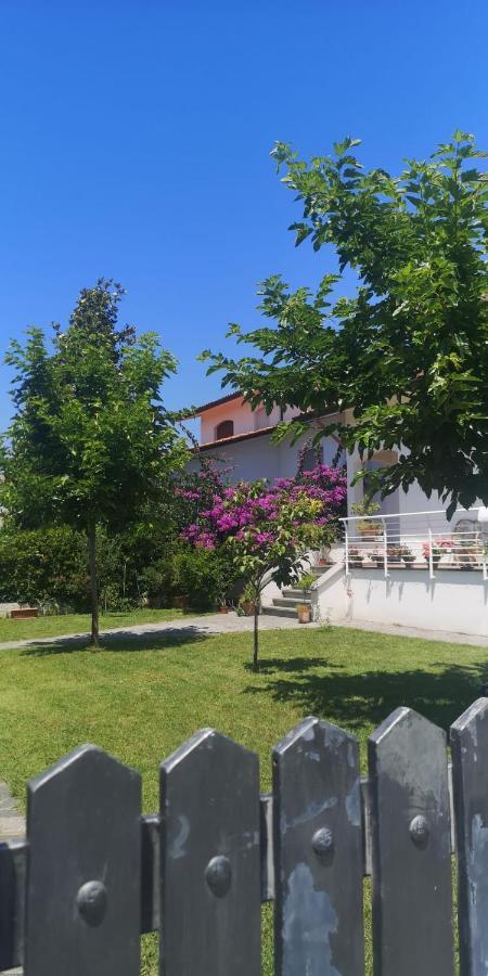 B&B Villa La Bouganville Camaiore Exteriör bild