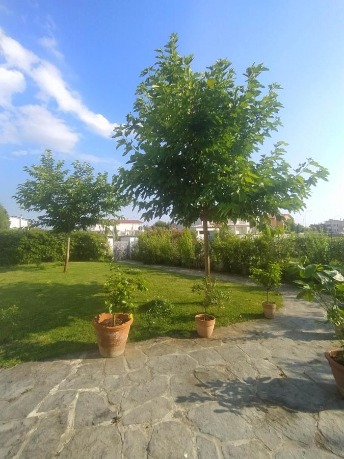 B&B Villa La Bouganville Camaiore Exteriör bild