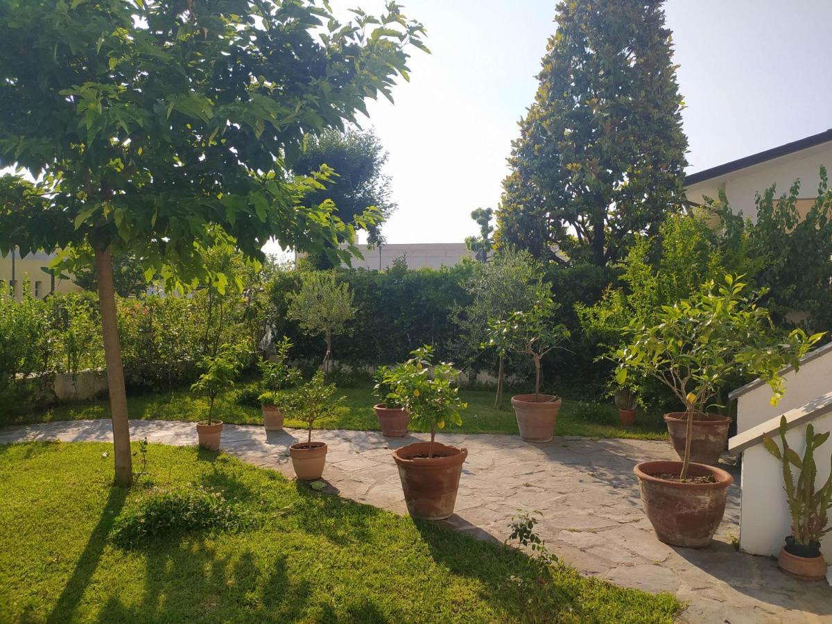 B&B Villa La Bouganville Camaiore Exteriör bild