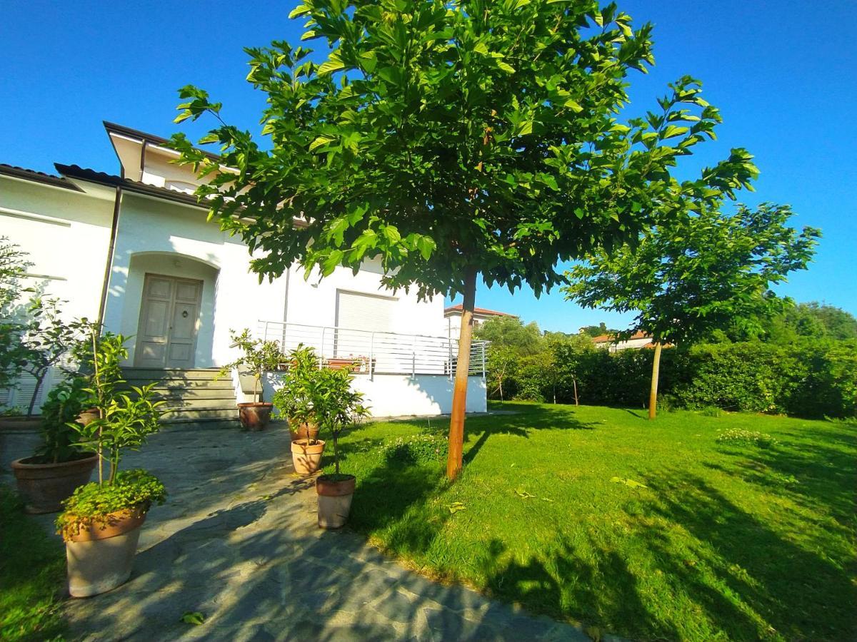 B&B Villa La Bouganville Camaiore Exteriör bild