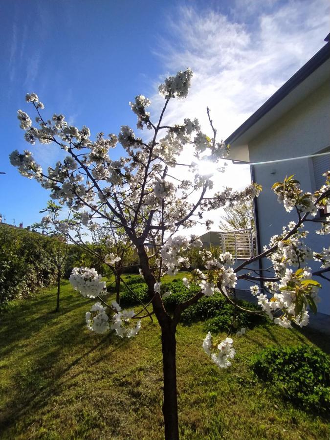 B&B Villa La Bouganville Camaiore Exteriör bild